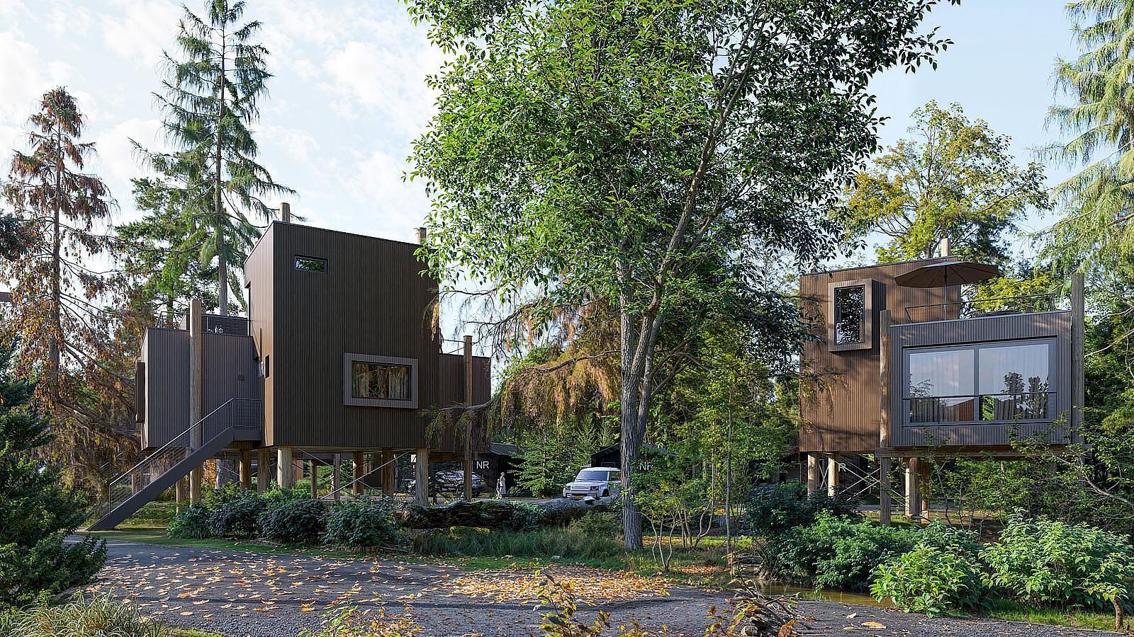 Tree House